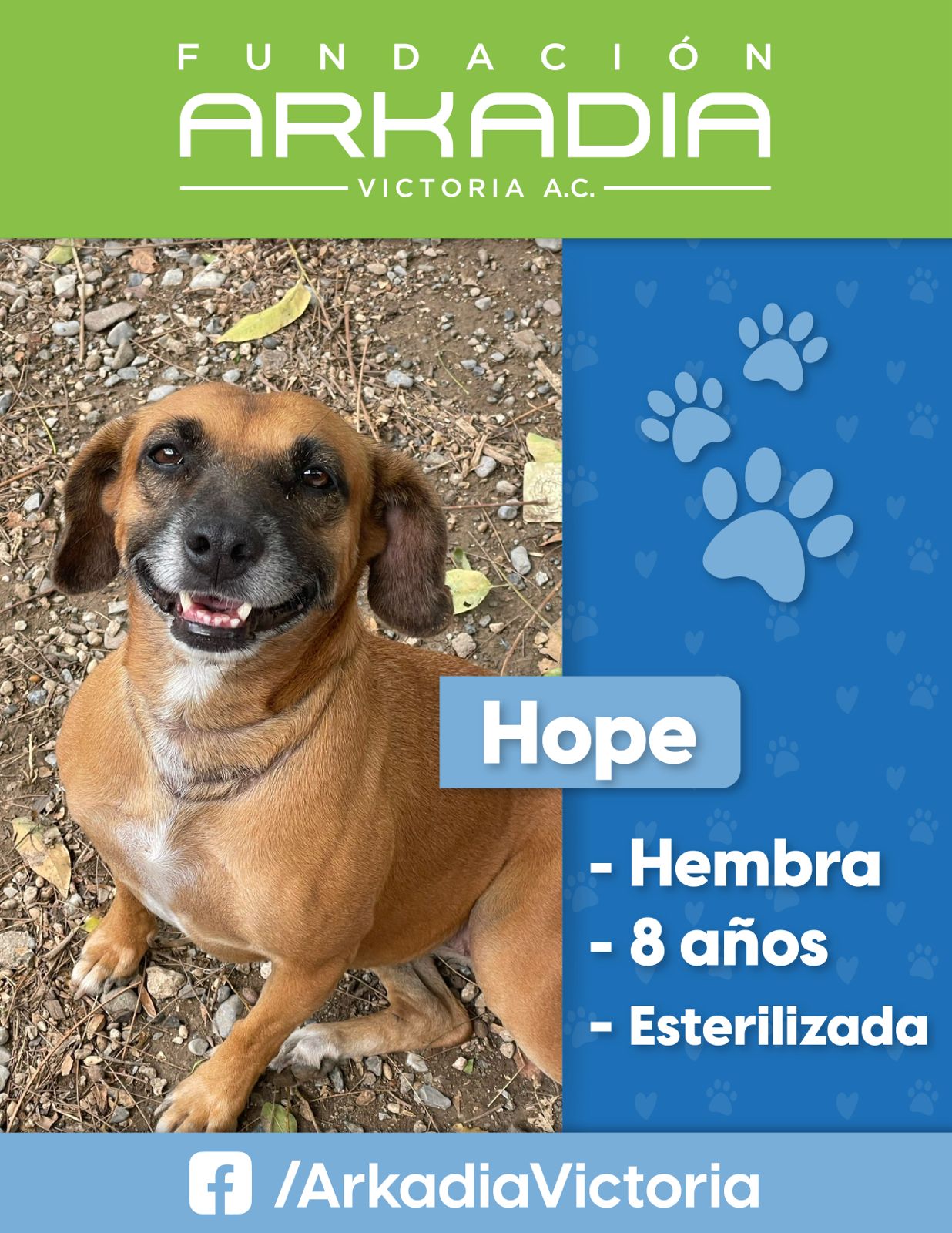 Gargantilla Hope
